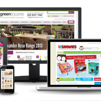 e-Commerce Solutions
